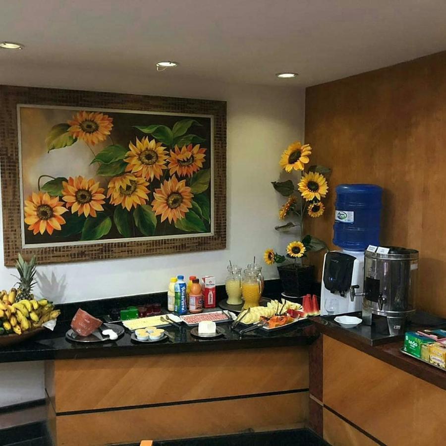 Horto Executivo Hotel Ipatinga Exterior photo
